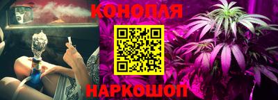 индика Кунгур