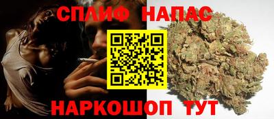 индика Кунгур